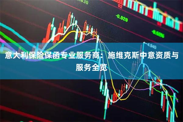 意大利保险保函专业服务商：施维克斯中意资质与服务全览